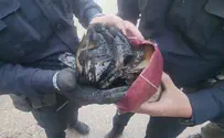Tefillin and prayerbook burned in Bnei Brak riot